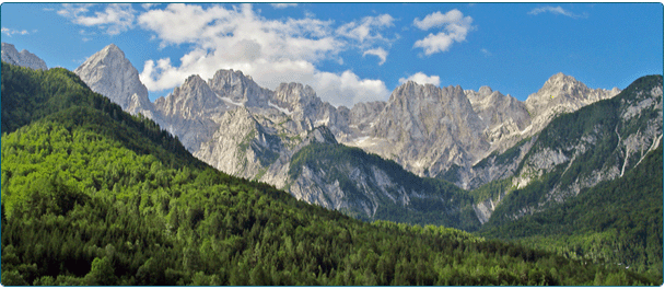 Himachal Delights Tours